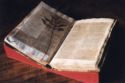 image of the page of the digitized material
