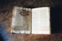 image of the page of the digitized material