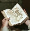 image of the page of the digitized material