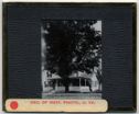 image of the page of the digitized material