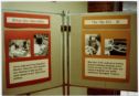 image of the page of the digitized material