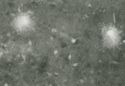 image of the page of the digitized material