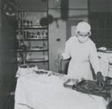 image of the page of the digitized material