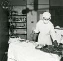 image of the page of the digitized material