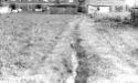 image of the page of the digitized material