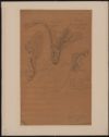 image of the page of the digitized material