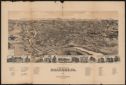 image of the page of the digitized material