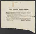 image of the page of the digitized material