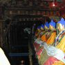 A row of Buddha statues.