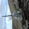 A cairn and prayer flags at the top of a pass.