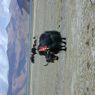 Yaks grazing near the shore of Yamdrok Lake.