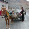 A Tibetan woman standing on the road beside her horse-drawn cart.