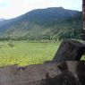 Fields outside the village of Lo, in Kong po