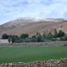 A house and its irrigated fields.