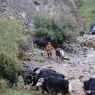 A Tibetan cowboy herding yaks by a river.