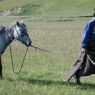 A nomad man leading a horse.