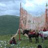 A young monk holding the reins of two horses by the prayer flag frame.