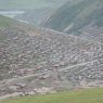 A view of Larung Gar from the top of Jomo Hill.