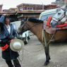 A long haired nomad man leading horses on the street.