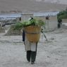 Woman carrying crops in woven basket