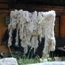 Wool hanging out in the village of sPyi pa, in Kong po