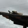 Part of the roof of a house in the village of sPyi pa, in Kong po