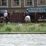 Nomads on horses in Lhagang town.&nbsp;