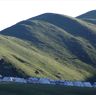 White nomadic tents near Lhagang town.&nbsp;