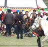 Tibetan men competing in horse game at Lhagang Festival.&nbsp;