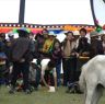 Men playing a game with horses at the Lhagang Festival.&nbsp;