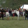 Tibetans engaging in horse-related game during Lhagang Festival.&nbsp;