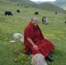 Monk sitting happily in a field.&nbsp;