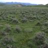 High pasture land in Lhagang.&nbsp;