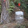 Close view of a temple near Devi thahan where people of Tendu worship