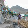 An elderly Tibetan woman circumambulating carvings of buddhas.