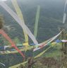 Flags hoisted in windy places