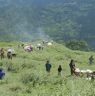 Over all view of the place where Chha festival is celebrated for the first day