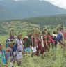 Bropon (Lead master) and Bropas dancing near by cypress tree