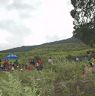 Local people gathered nearby cypress tree to celebrate Chha having lunch