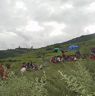 Local people gathered nearby cypress tree to celebrate Chha having lunch