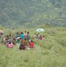 People in different groups having lunch in different places