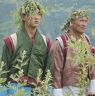 Holding their hand in hand wearing chrysanthemum  hats chanting and dancing