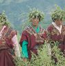 Ladies getting ready for the chha festivals