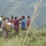 After ending first days program they wave there hands and departs from each other