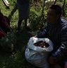 A walnut seller at Nangkor Tsechu