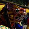 Tiger face mask at Nangkor Tsechu