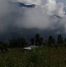 View of Jigme village surrounded by trees and bamboo