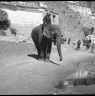 13th Dalai Lama's elephant in front of the Potala Palace. Copyright Pitt Rivers Museum, University of Oxford 2001.35.127.1