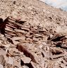 Terraced funerary structure FS5. Note the way in which the side wall is deeply set into the slope.