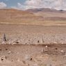 The row of four broken pillars northeast of the rectangular structure.